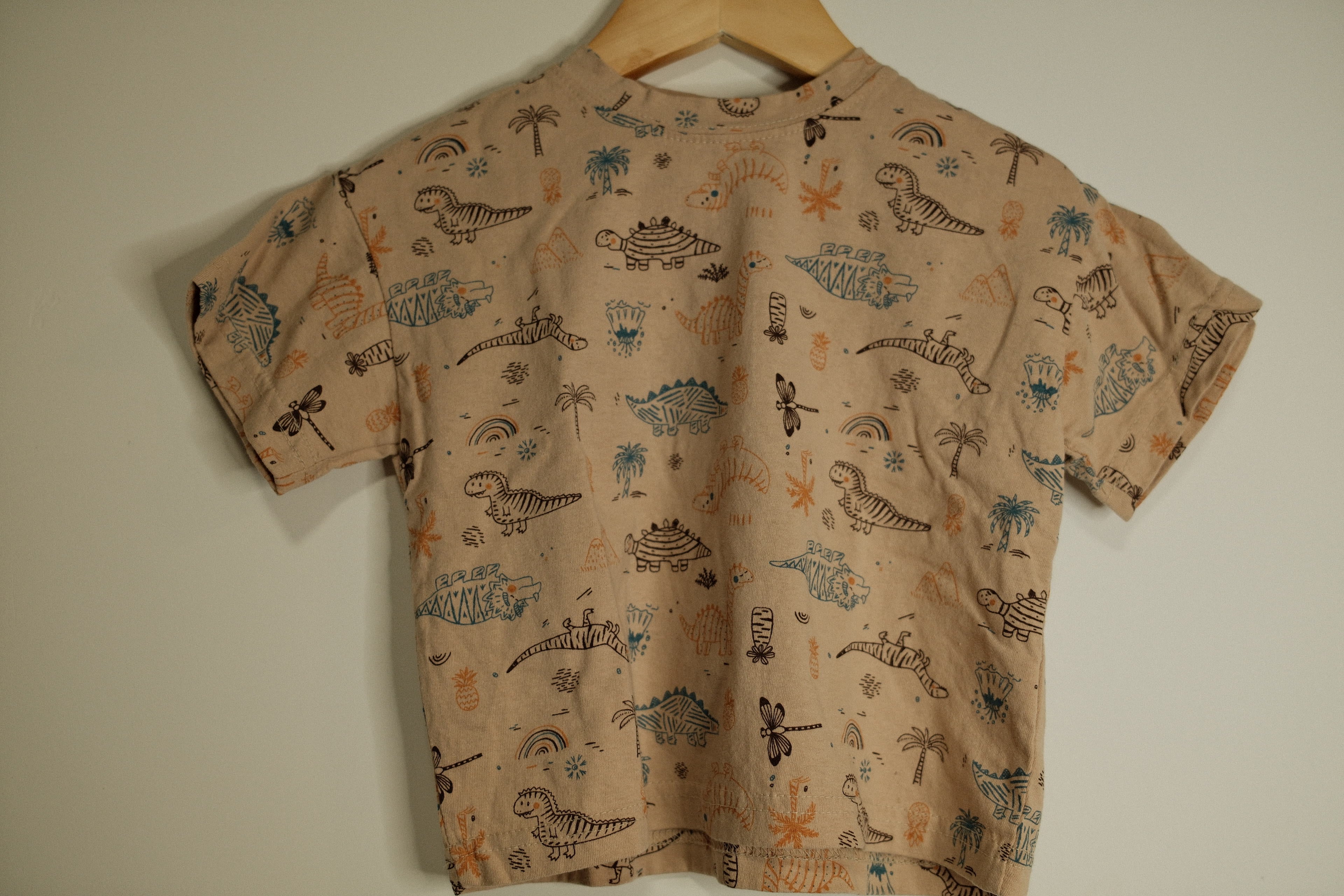 Dinosaur Tee