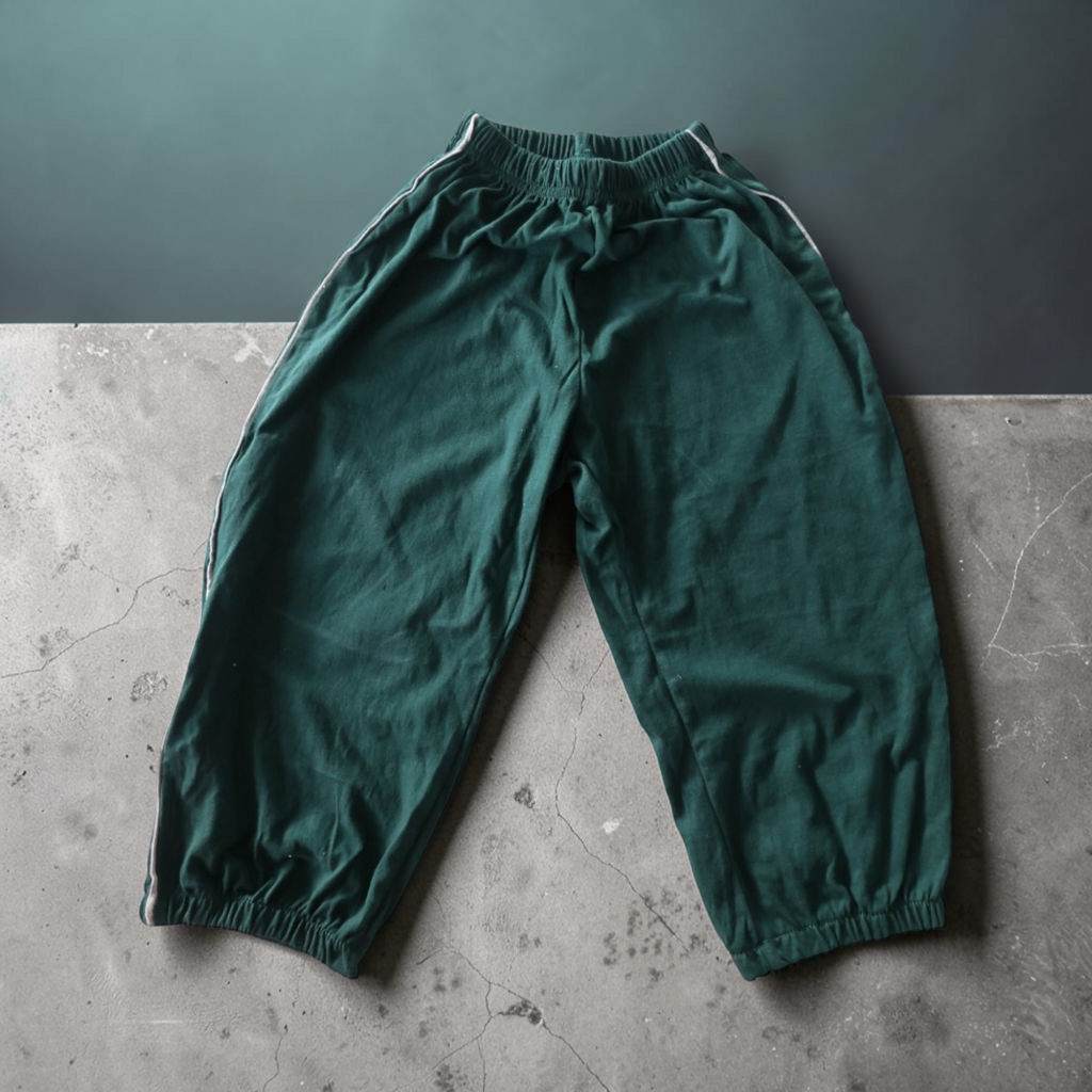 The Sidekick pants